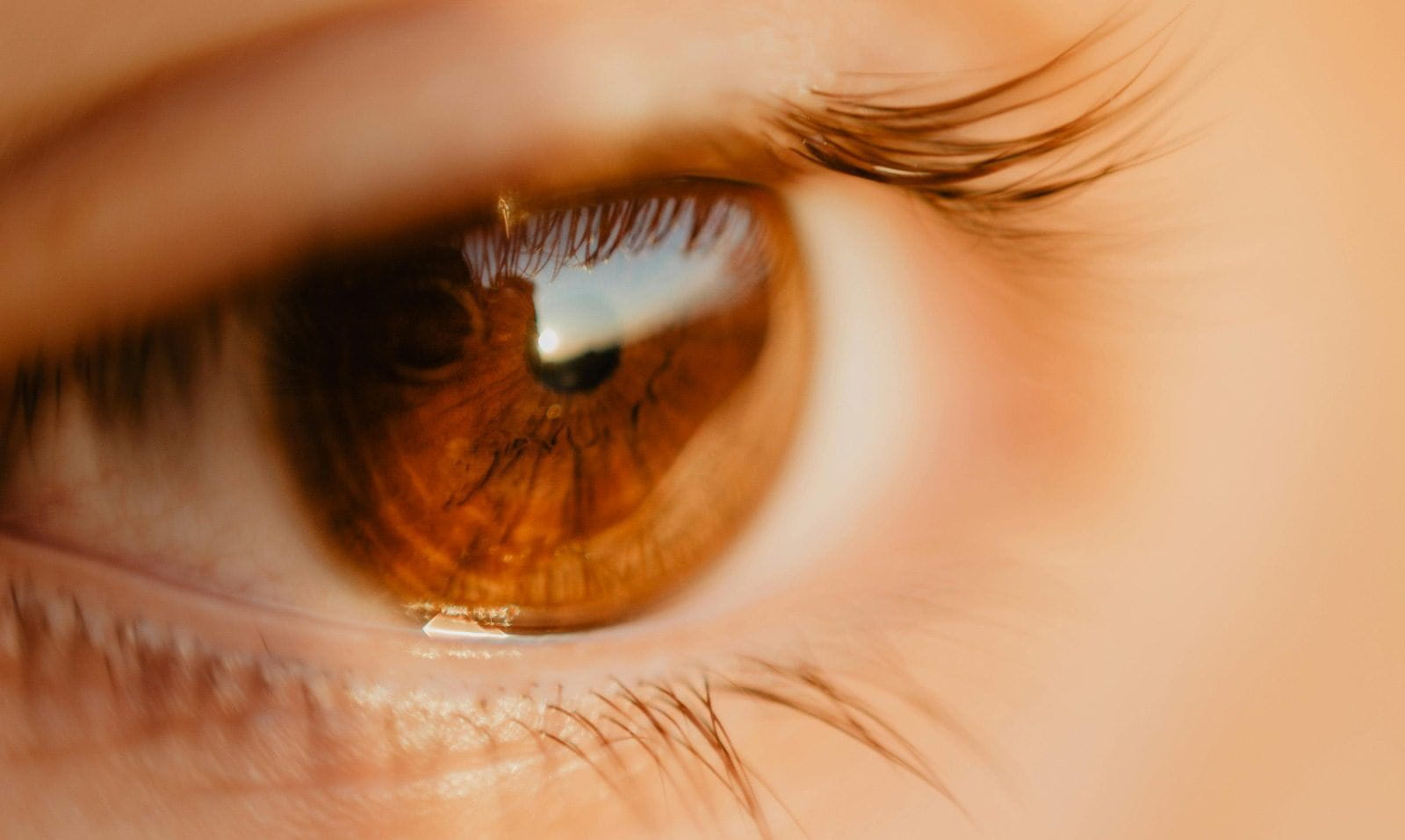 Glaucoma é uma das principais causas de cegueira no mundo