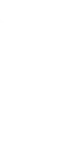 Logo Rodapé